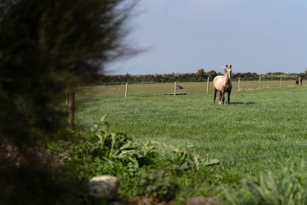 Porthcurno Barns, The Cart Lodge - Cosy Cottage, Walk To Porthcurno Beach, Pedn Vouder & Minack Theatre Penzance Buitenkant foto